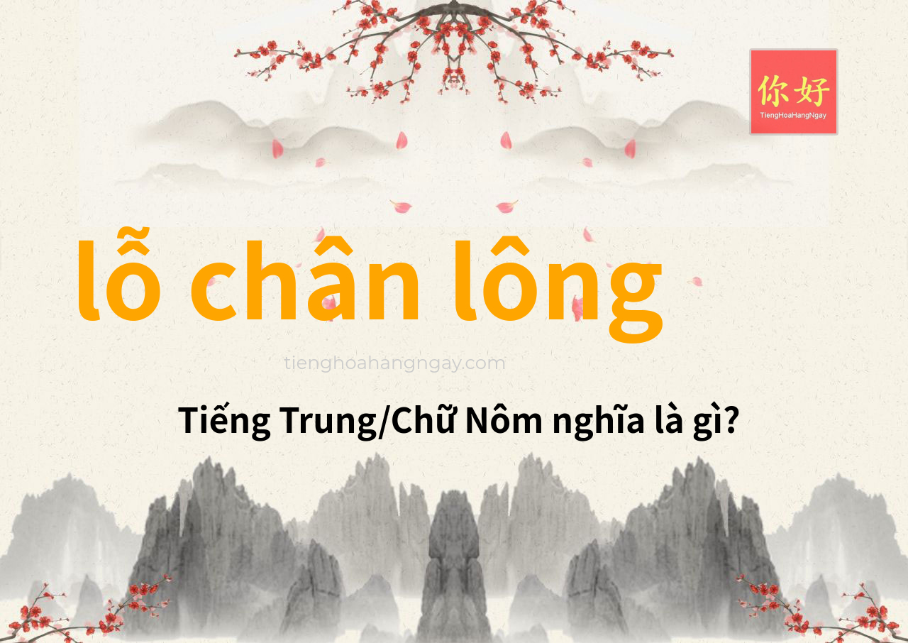 lỗ chân lông tiếng Trung là gì?